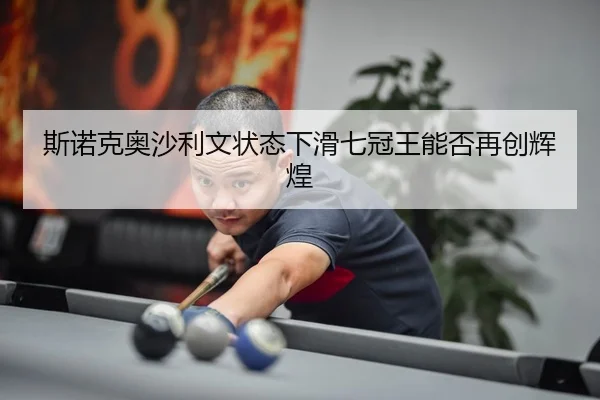 si-nuo-ke-ao-sha-li-wen-zhuang-tai-xia-hua-qi-guan-wang-neng-fou-zai-chuang-hui-huang-3-677.jpg